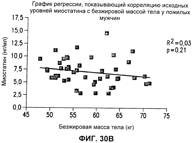 Антитела к gdf8 и их применения (патент 2447084)