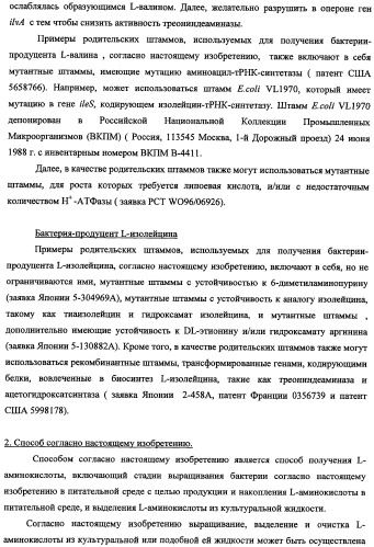 Способ получения l-треонина и l-аргинина с использованием бактерии, принадлежащей к роду escherichia, в которой инактивирован кластер генов yehabcde (патент 2337960)