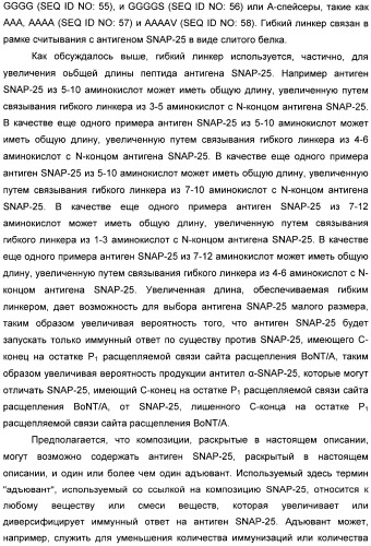 Иммунологические анализы активности ботулинического токсина серотипа а (патент 2491293)