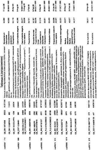 Гены corynebacterium glutamicum, кодирующие белки, участвующие в гомеостазе и адаптации (патент 2304616)