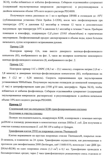 Конъюгаты фосфолипидов и направляющих векторных молекул (патент 2433137)