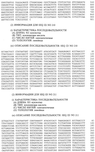 Гемопоэтический белок (варианты), последовательность днк, способ получения гемопоэтического белка, способ селективной экспансии кроветворных клеток, способ продуцирования дендритных клеток, способ стимуляции продуцирования кроветворных клеток у пациента, фармацевтическая композиция, способ лечения (патент 2245887)