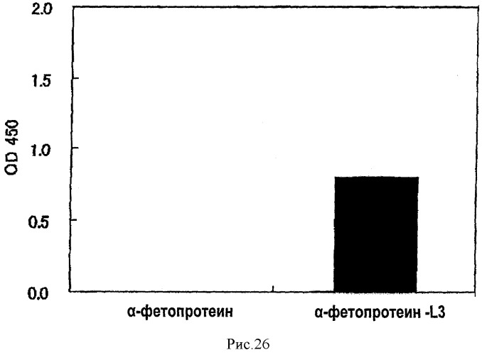 L-фукоза α1→6 специфичный лектин (патент 2524425)