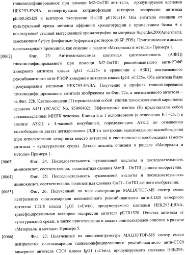 Конструкции слияния и их применение для получения антител с повышенными аффинностью связывания fc-рецептора и эффекторной функцией (патент 2407796)