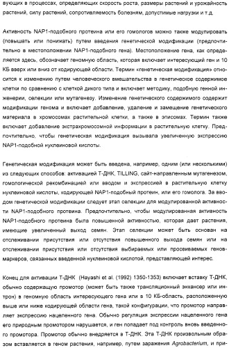 Способ повышения выхода семян растения, способ производства трансгенного растения, имеющего повышенную урожайность семян, генная конструкция для экспрессии в растении и трансгенное растение (патент 2409938)