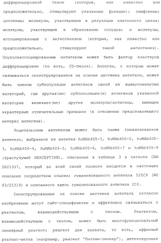 Антитела, сконструированные на основе цистеинов, и их конъюгаты (патент 2412947)