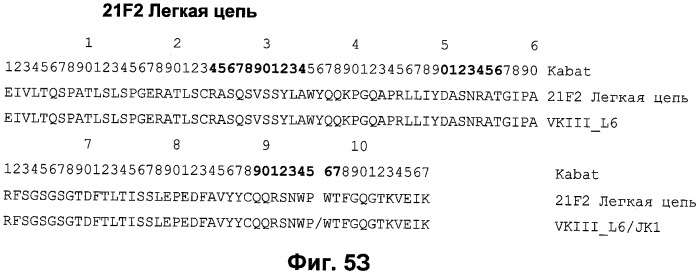 Антитела к человеческому nkg2d и их применения (патент 2563343)