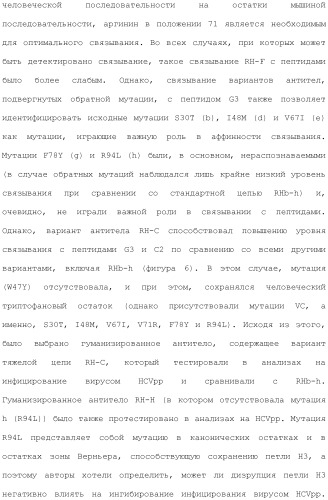 Антитела против вируса гепатита с (патент 2462475)