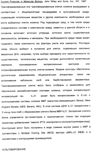 Продуцирование il-21 в прокариотических клетках-хозяевах (патент 2354703)