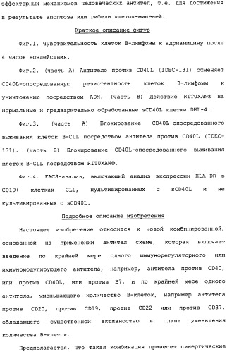Лечение в-клеточных злокачественных опухолей с использованием комбинации применений, связанных с антителами, уменьшающими количество b-клеток, и с иммуномодулирующими антителами (патент 2306952)