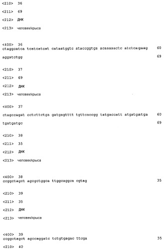 Р185neu-кодирующая днк и ее терапевтические применения (патент 2350652)