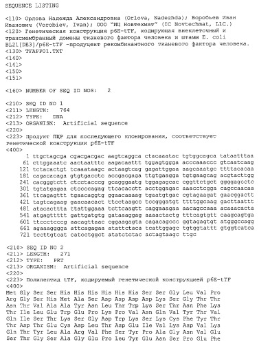 Экспрессионная плазмидная днк p6e-ttf, кодирующая внеклеточный и трансмембранный домены тканевого фактора человека и штамм e.coli bl21[de3]/p6e-ttf-продуцент рекомбинантного тканевого фактора человека (патент 2426780)