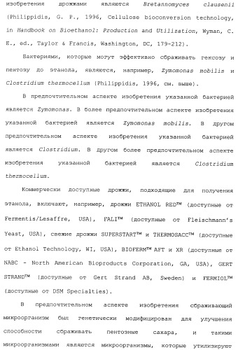 Клетка-хозяин trichoderma reesei для получения целлюлолитической белковой композиции, целлюлолитическая белковая композиция, способы ее получения и применения (патент 2494146)