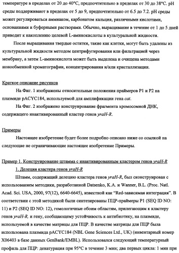 Способ получения l-треонина с использованием бактерии, принадлежащей к роду escherichia, в которой инактивирован кластер генов yrah-r (патент 2337962)