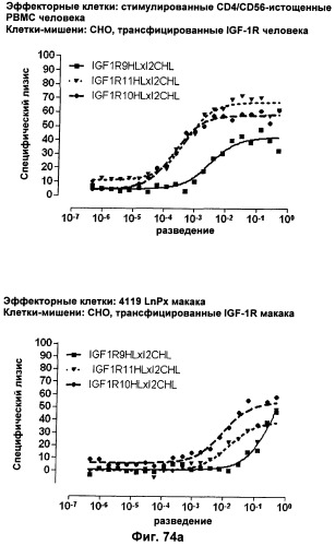 Pscaxcd3, cd19xcd3, c-metxcd3, эндосиалинxcd3, epcamxcd3, igf-1rxcd3 или fap-альфаxcd3 биспецифическое одноцепочечное антитело с межвидовой специфичностью (патент 2547600)