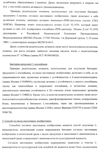 Способ получения l-треонина или l-аргинина с использованием бактерии, принадлежащей к роду escherichia, в которой инактивирован ген chac или оперон chabc (патент 2392327)