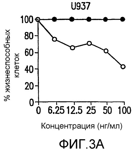 Комбинации антител, обладающих селективностью по отношению к рецептору лиганда, индуцирующему апоптоз, ассоциированный с фактором некроза опухоли, и других терапевтических средств (патент 2313368)