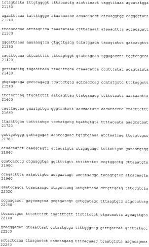Иммортализованная клеточная линия птиц (патент 2475536)