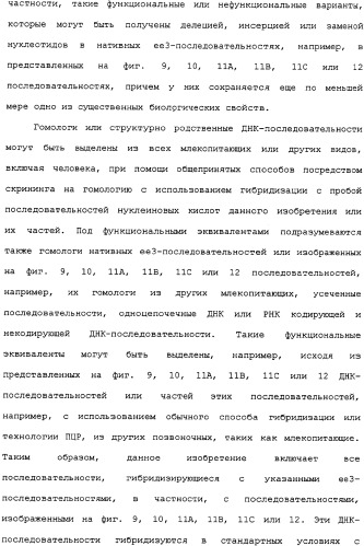 Ее3-семейство белков и соответствующие днк-последовательности (патент 2333918)
