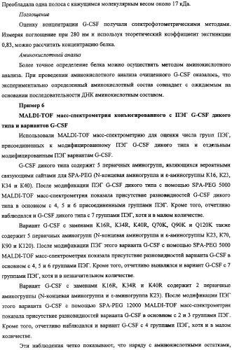 Конъюгаты g-csf (патент 2307126)