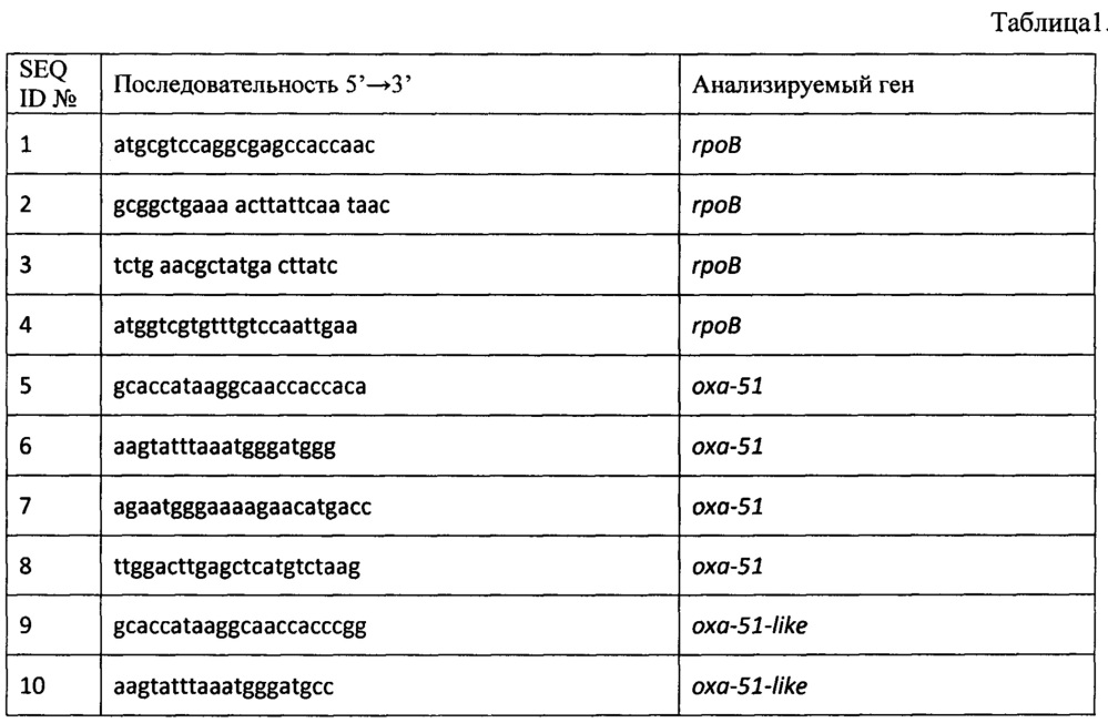 Синтетические олигонуклеотидные праймеры для идентификации штаммов и изолятов бактерии acinetobacter и определения устойчивости к бета-лактамным антибиотикам и способ их применения (патент 2646107)