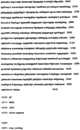 Днк, повышающая продуцирование белка, и ее применение (патент 2375450)
