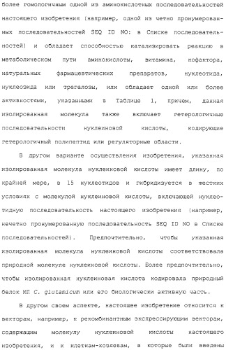 Гены corynebacterium glutamicum, кодирующие белки метаболических путей (патент 2306339)
