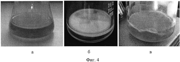 Штамм бактерии komagataeibacter xylinus - продуцент бактериальной целлюлозы (патент 2568605)