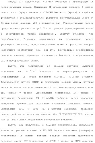 Включение адъюванта в иммунонанотерапевтические средства (патент 2496517)