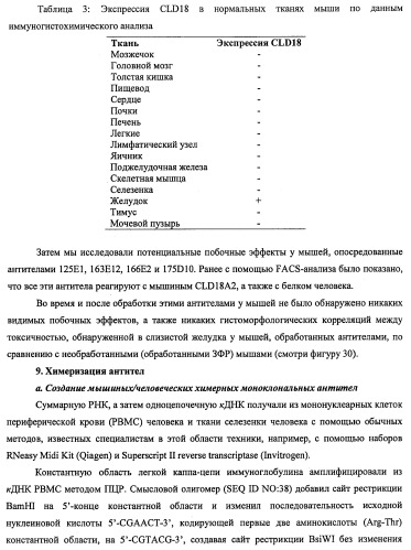 Моноклональные антитела к клаудину-18 для лечения рака (патент 2445319)