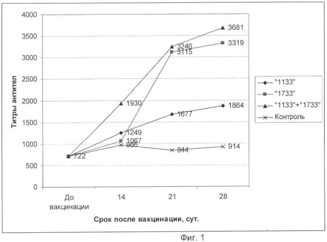 Вакцина ассоциированная против ньюкаслской болезни, реовирусного теносиновита и метапневмовирусной инфекции птиц инактивированная эмульсионная (патент 2480238)