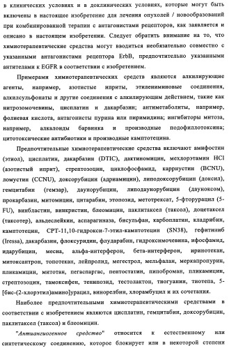 Биспецифические антитела к erb-b и их применение для лечения опухолей (патент 2349340)
