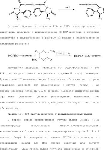 Нацеливание на антигенпрезентирующие клетки иммунонанотерапевтических средств (патент 2497542)