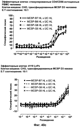 Pscaxcd3, cd19xcd3, c-metxcd3, эндосиалинxcd3, epcamxcd3, igf-1rxcd3 или fap-альфаxcd3 биспецифическое одноцепочечное антитело с межвидовой специфичностью (патент 2547600)