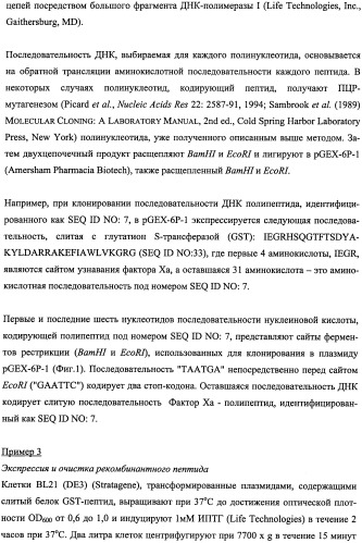 Пептиды, действующие как агонисты рецептора glp-1 и как антагонисты глюкагонового рецептора, и фармакологические способы их применения (патент 2334761)