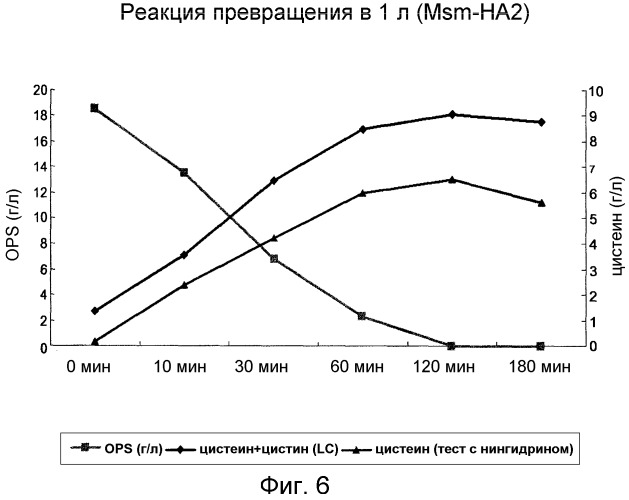 Мутантные о-фосфосеринсульфгидрилазы и способ получения цистеина с их применением (патент 2541782)