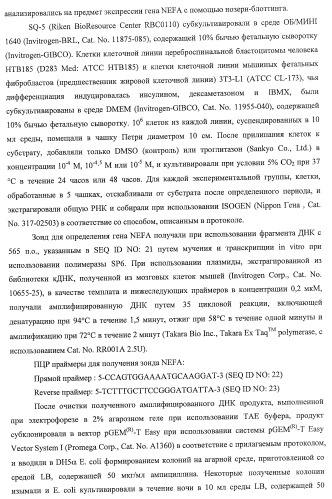 Способ получения фактора, связанного с контролем над потреблением пищи и/или массой тела, полипептид, обладающий активностью подавления потребления пищи и/или прибавления в весе, молекула нуклеиновой кислоты, кодирующая полипептид, способы и применение полипептида (патент 2418002)