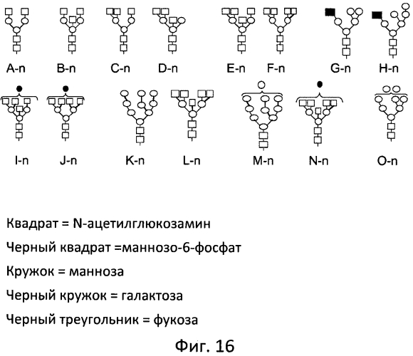 Фермент лизосомальной болезни накопления (патент 2575074)