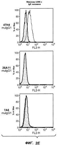 Апоптотические антитела против ige (патент 2500686)