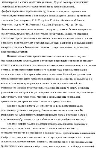 Связывающие молекулы, обладающие терапевтической активностью (патент 2386639)