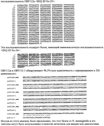 Антигены neisseria meningitidis (патент 2343159)