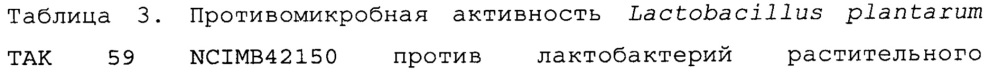 Изолированный штамм микроорганизма lactobacillus plantarum tak 59 ncimb42150 и его применение (патент 2645471)