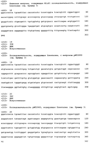 Рекомбинантная экспрессия дефенсинов в мицелиальных грибах (патент 2404990)