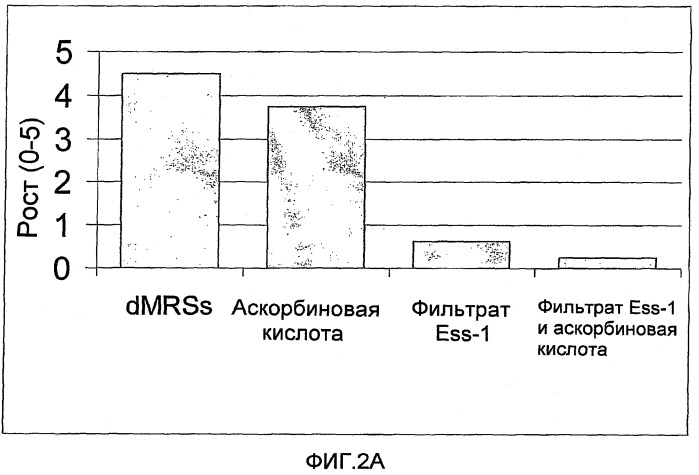 Lactobacillus fermentum ess-1, dsm17851, и его применение для лечения и/или профилактики кандидоза и инфекций мочевых путей (патент 2413761)