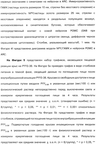 Способ модификации пищевого поведения и применение pyy или его агониста в качестве средства для модификации пищевого поведения (патент 2317104)