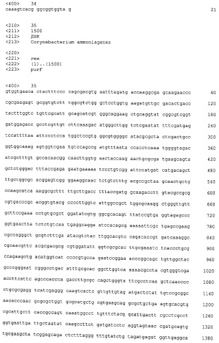 Микроорганизмы corynebacterium с повышенной продукцией 5&#39;- инозиновой кислоты и способ получения нуклеиновых кислот с их использованием (патент 2482178)