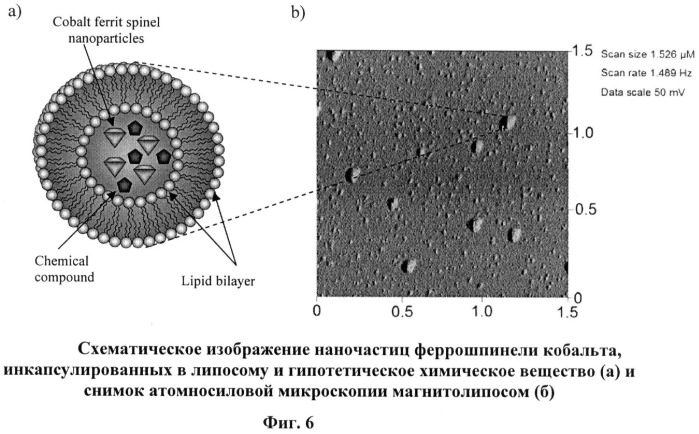 Контрастное средство для t1 и/или t2 магнитно-резонансного сканирования и способ его получения (патент 2471502)