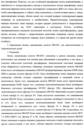 Белки, связывающие антиген фактор роста, подобный гепаринсвязывающему эпидермальному фактору роста (патент 2504551)