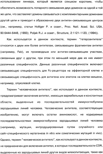 Человеческие моноклональные антитела к рецептору эпидермального фактора роста (egfr), способ их получения и их использование, гибридома, трансфектома, трансгенное животное, экспрессионный вектор (патент 2335507)