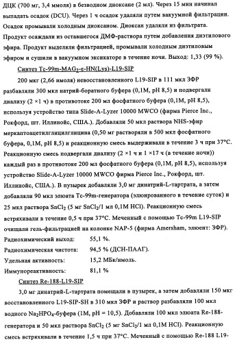 Избирательный направленный перенос в сосудистую сеть опухоли с использованием молекул антител (патент 2347787)